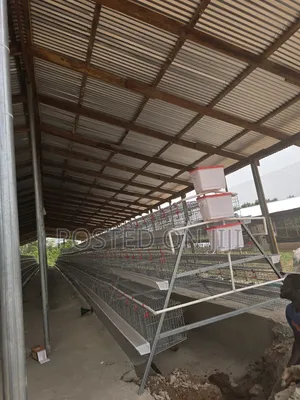 Battery Chicken Cage System
