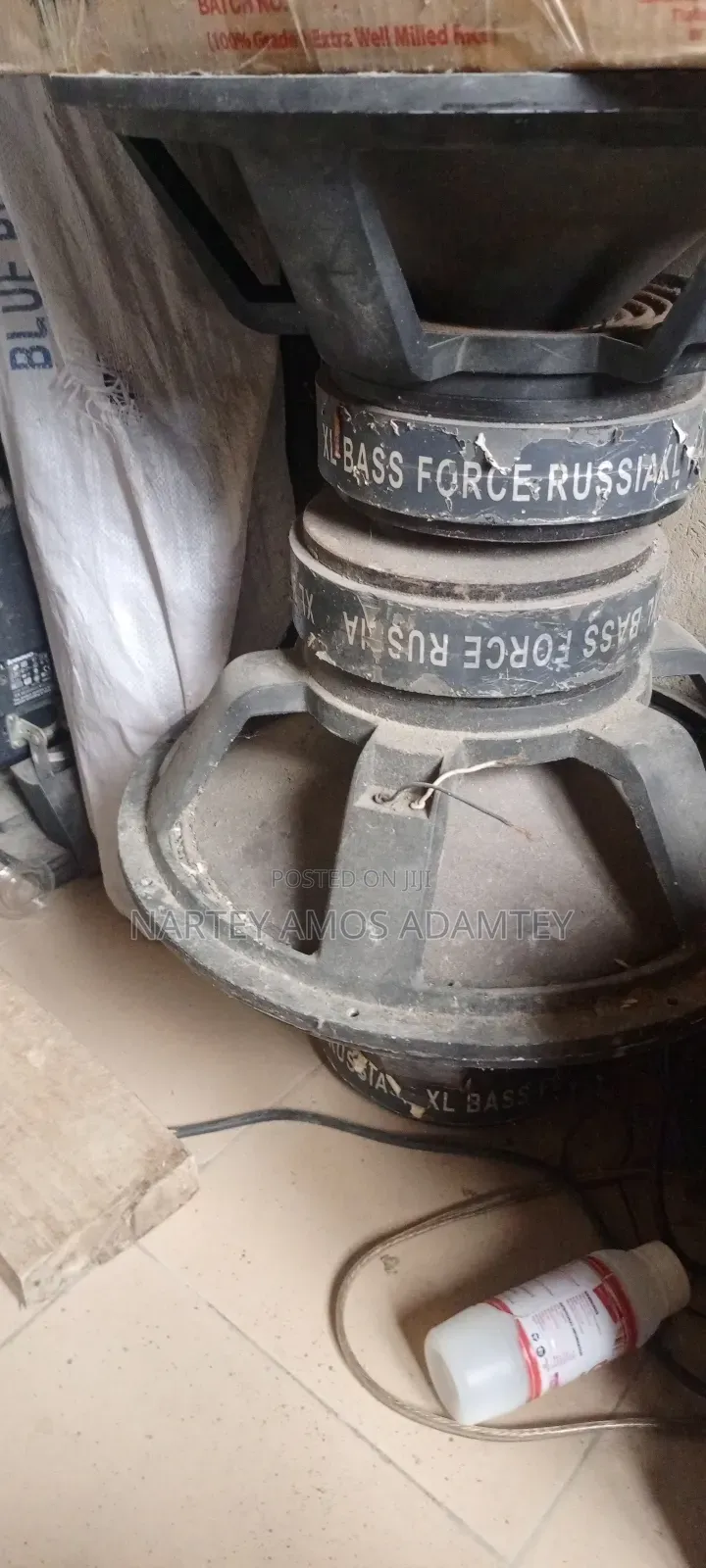 Russia 18" Speaker. Double Magnet