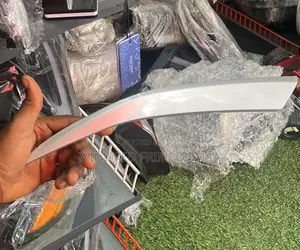 Santafe 2020 Headlight Mouldind