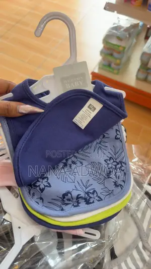Hudson Baby Bib
