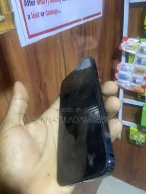 Apple iPhone 12 Pro Max 256 GB Blue
