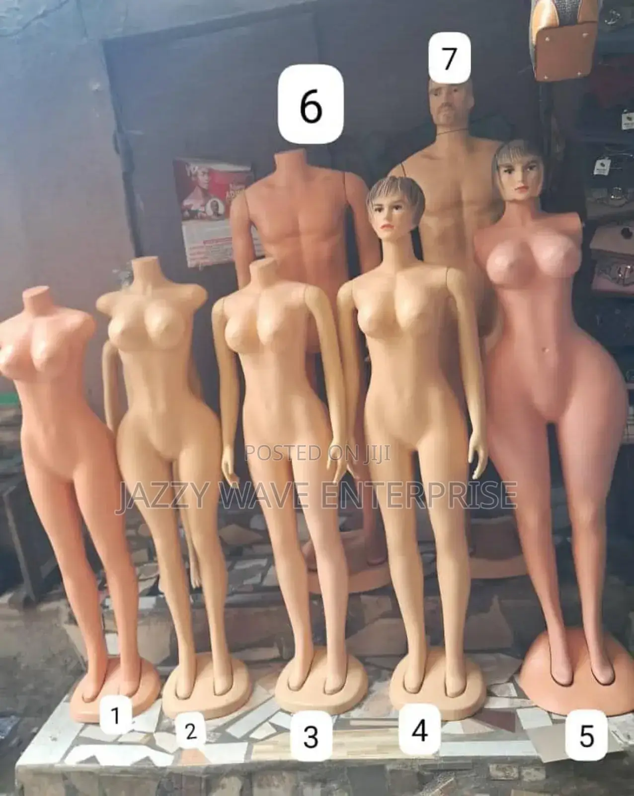 Manikin Different Types / Mannequins