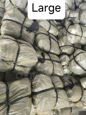Polythene Bags for Bulk Purchase