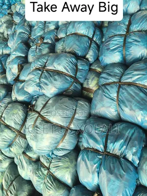 Polythene Bags for Bulk Purchase