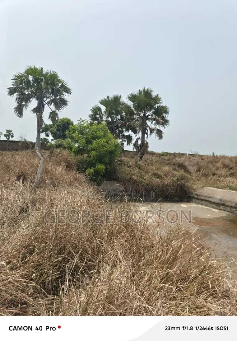 22 Plots of Land for Sale at Nyanyano Few Metres From the Beach