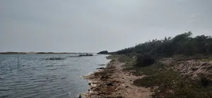 An Island Available for Investors Deal.