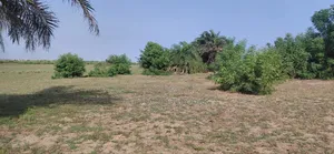 An Island Available for Investors Deal.