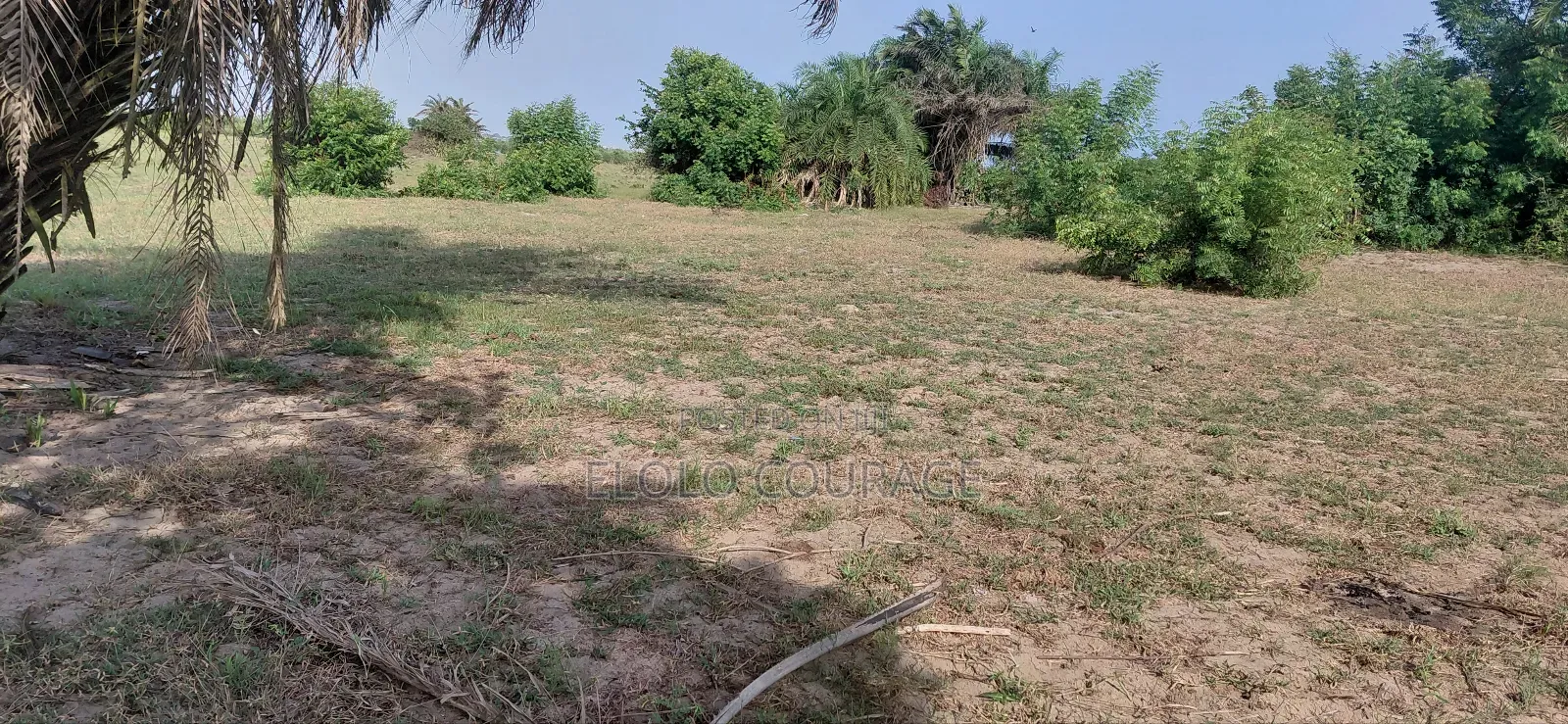 An Island Available for Investors Deal.