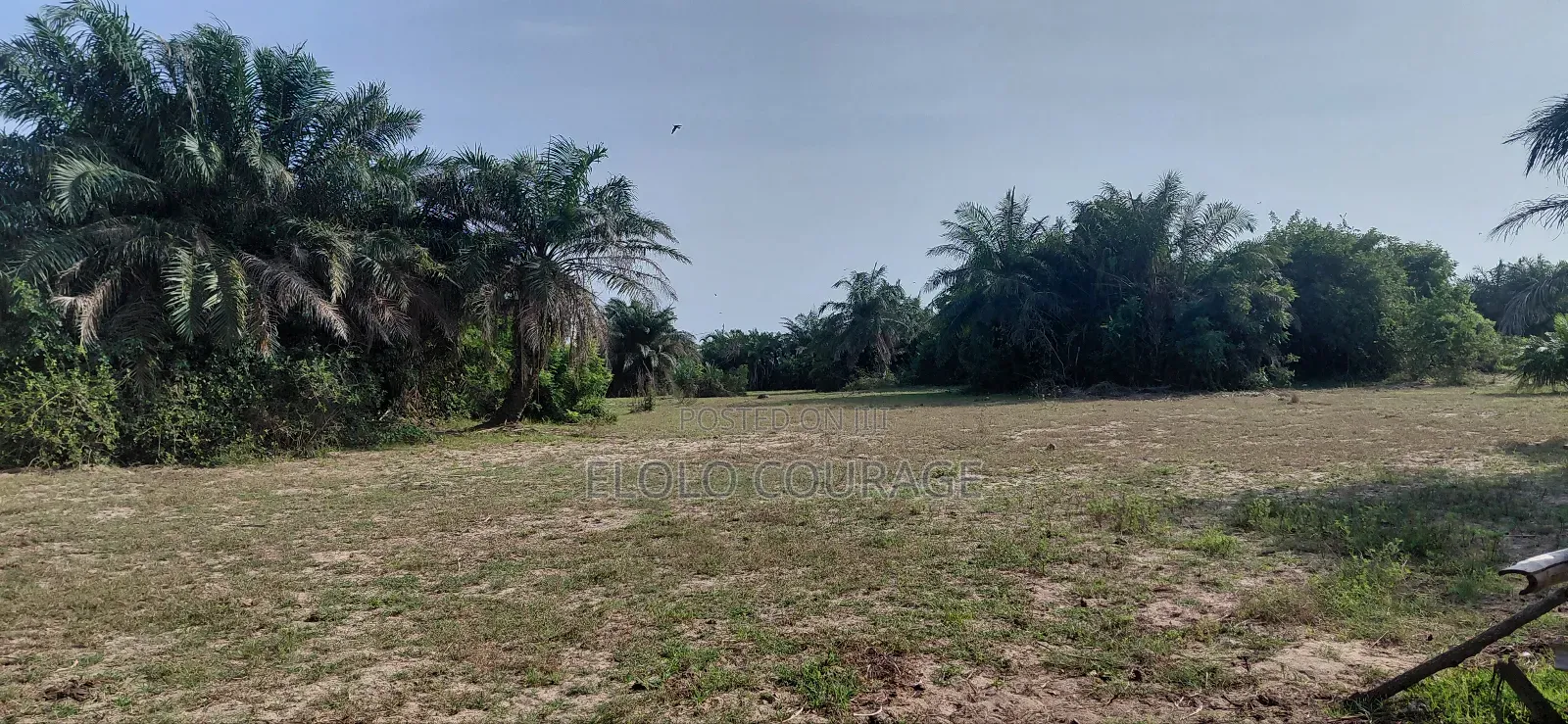 An Island Available for Investors Deal.