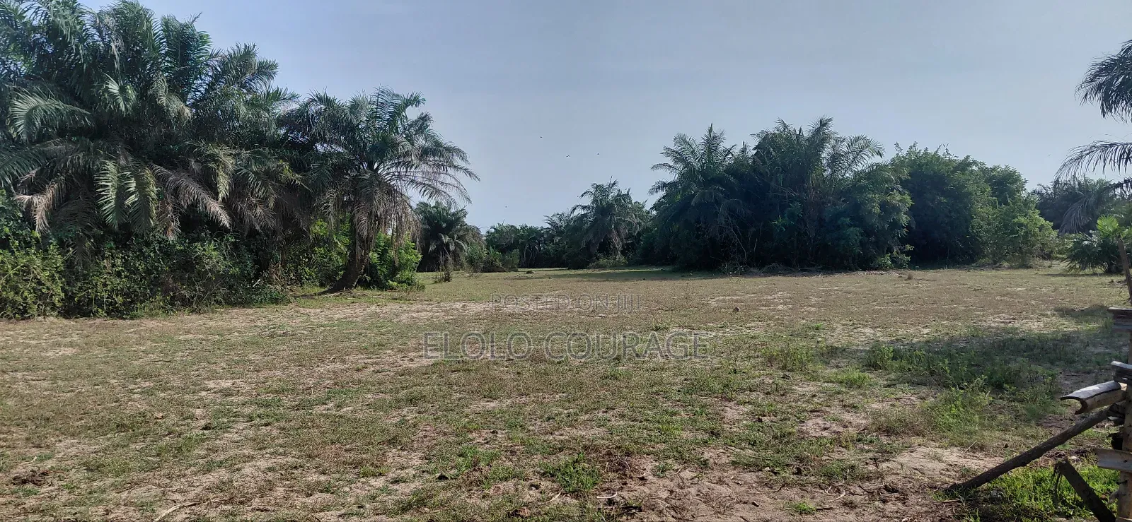 An Island Available for Investors Deal.