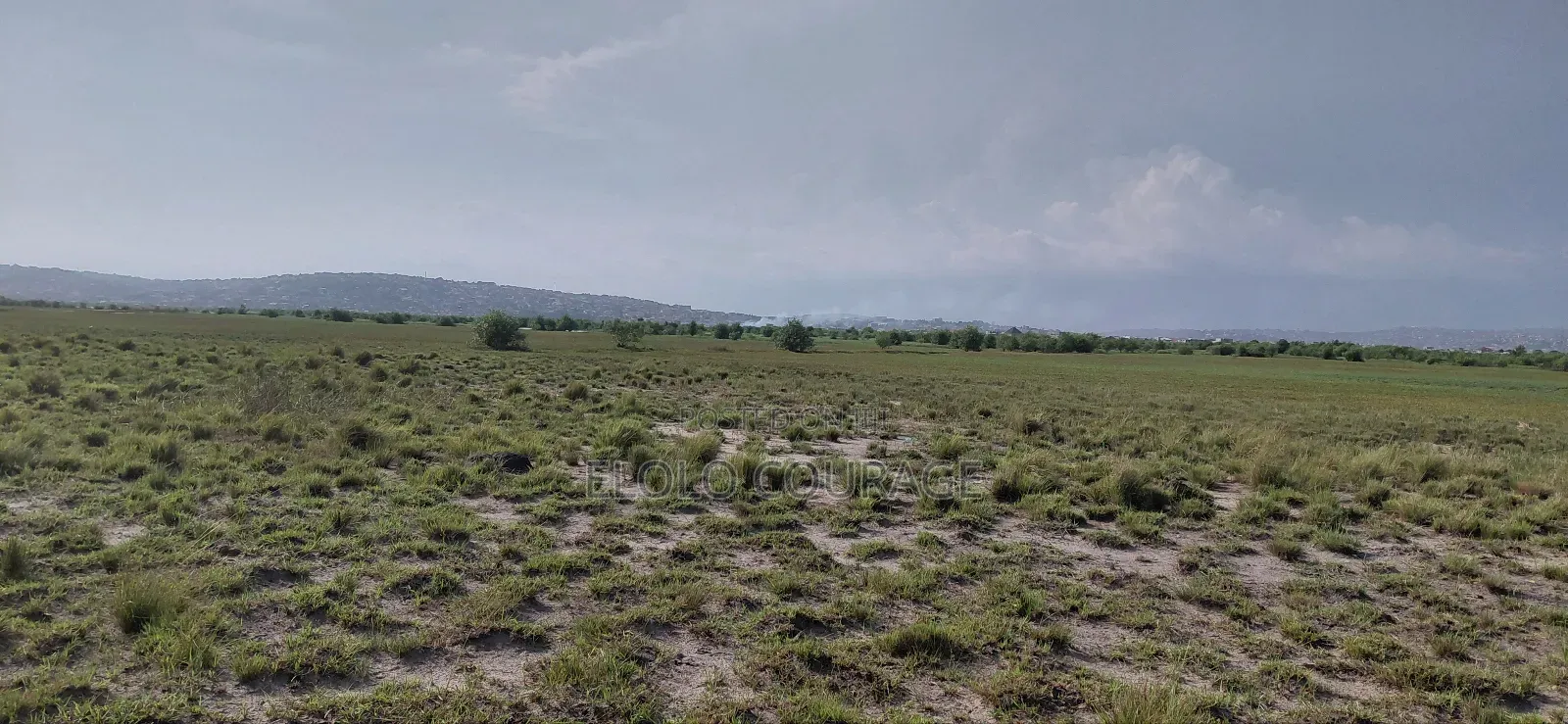 An Island Available for Investors Deal.