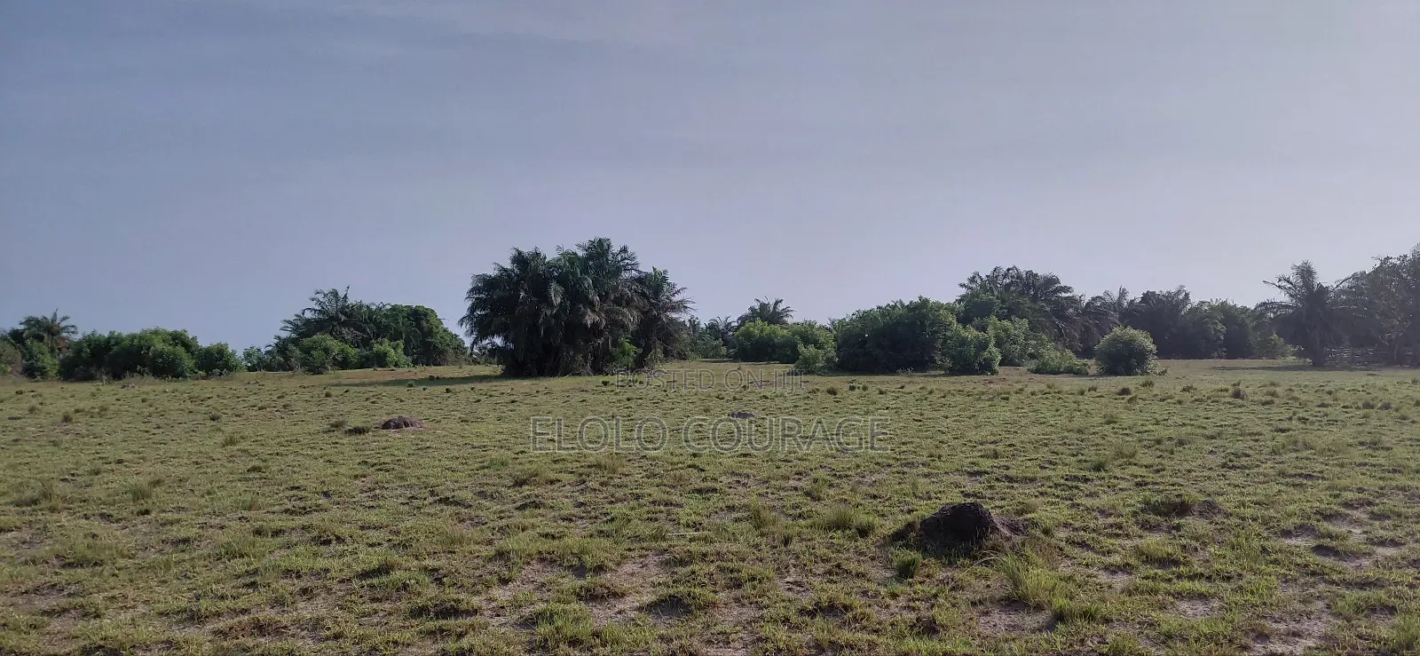 An Island Available for Investors Deal.