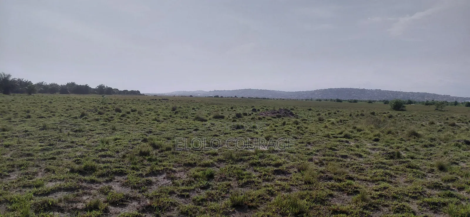 An Island Available for Investors Deal.