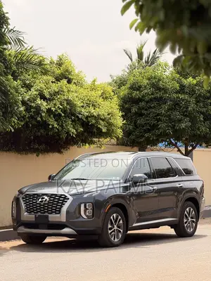 Hyundai Palisade 2020 Gray