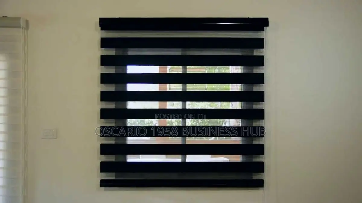 Martina Modern Zebra Custom Blinds