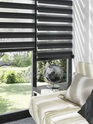 Gabriella Stylish Zebra Blinds
