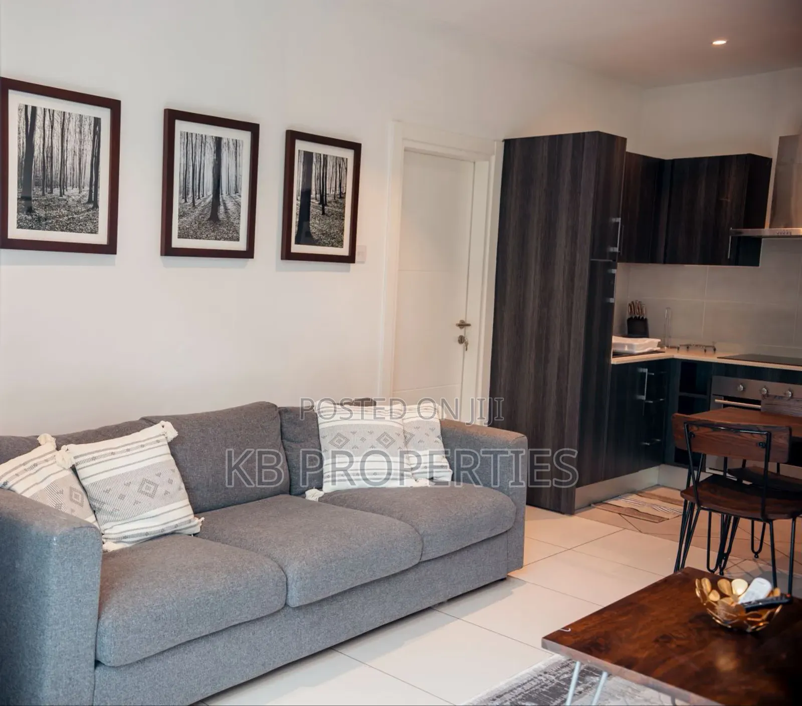 Furnished 1bdrm Apartment in Kb Properties, Cantonments for sale