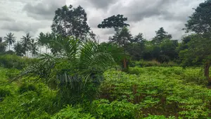 Volta Region, Hohoe (Likpe) _ 1400+ Acres Farmland
