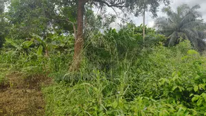 Volta Region, Hohoe (Likpe) _ 1400+ Acres Farmland