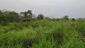 Volta Region, Adaklu (Helekpe) _ 1500+ Acres Mixed Farmland