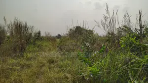 Volta Region, Adaklu (Helekpe) _ 1500+ Acres Mixed Farmland