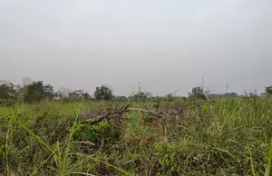 Volta Region, Adaklu (Helekpe) _ 1500+ Acres Mixed Farmland