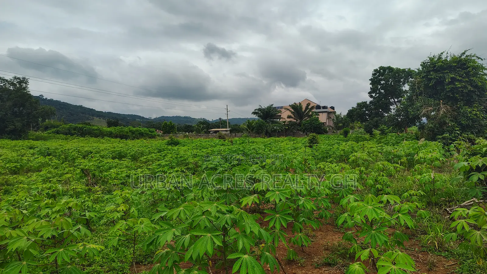 Volta Region, Ho (Godokpe) _ 3 Plots (0.62 Acre) Land