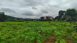 Volta Region, Ho (Godokpe) _ 3 Plots (0.62 Acre) Land