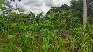 Volta Region, Ho (Godokpe) _ 3 Plots (0.62 Acre) Land