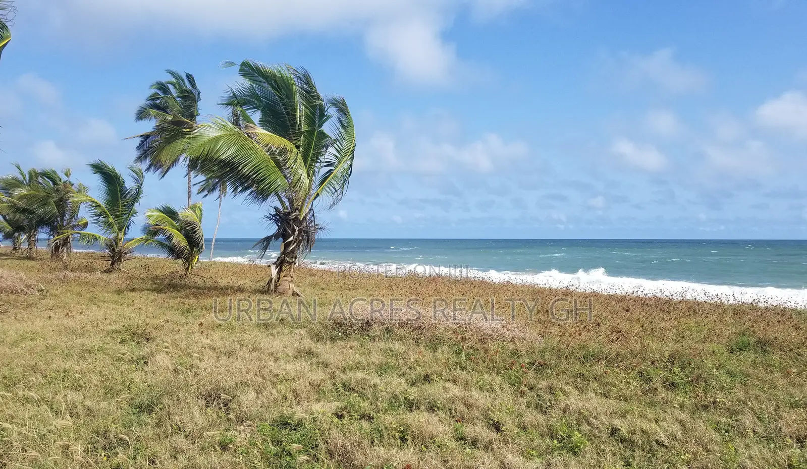 Central Region, (Brenu Akyinim) _ 6 Plots Oceanfront Land