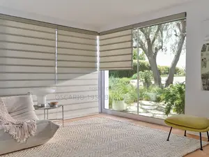Alicia Unique Home Zebra Blinds 