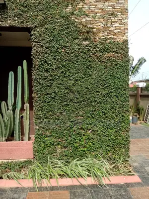 Garden Services
