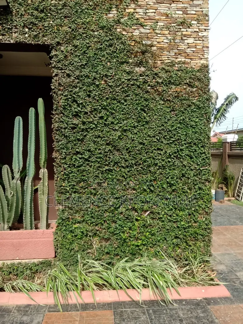 Garden Services