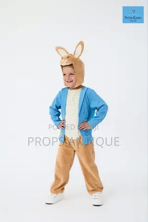 Rabbit or Bunny Costume