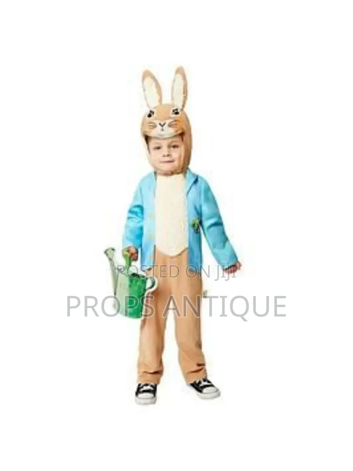 Rabbit or Bunny Costume