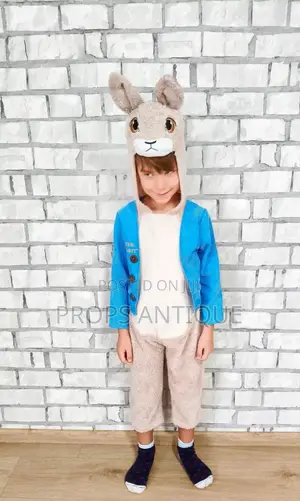 Rabbit or Bunny Costume
