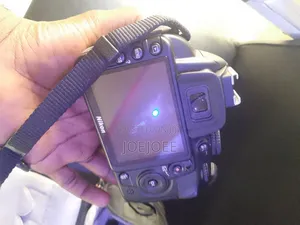 Nikon D3100 and Flash Light
