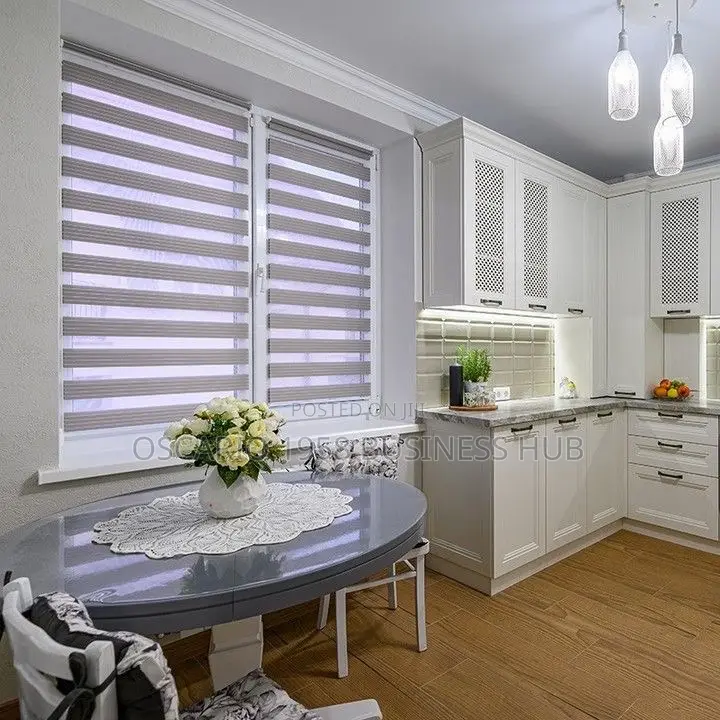 Alessandra Magnificent Modern Zebra Blinds 