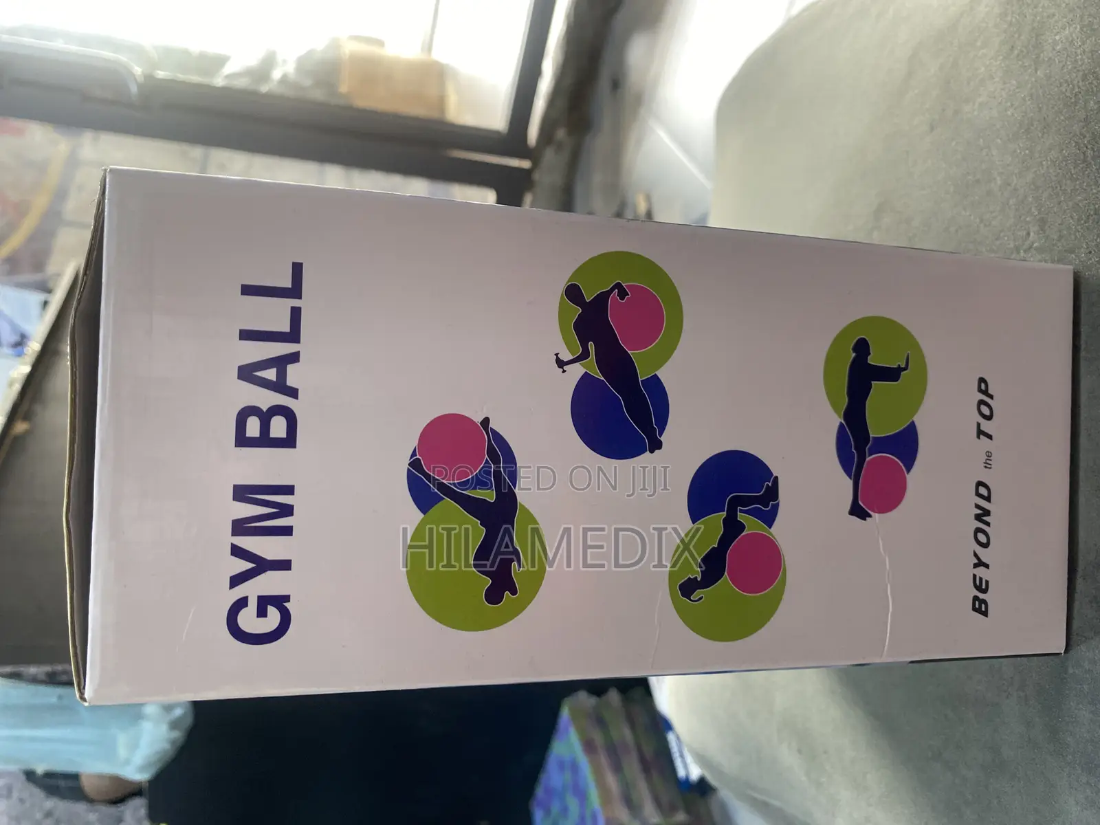 Raciness Gym Ball