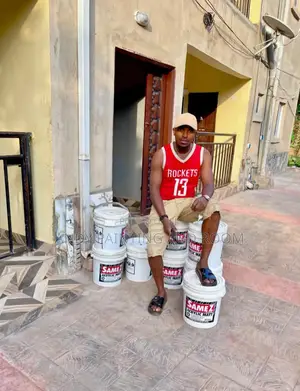 Pro Painting and 3d Wall Designer