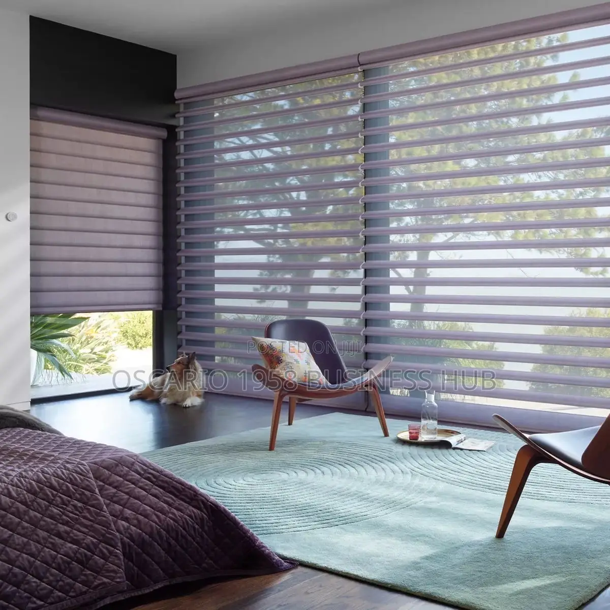 Violetta Pleasant Window Curtain Blinds 
