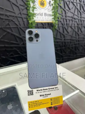 Apple iPhone 13 Pro Max 256 GB