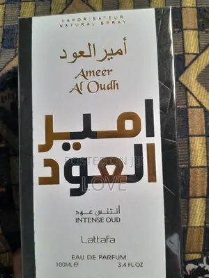 Ameer Al Oudh