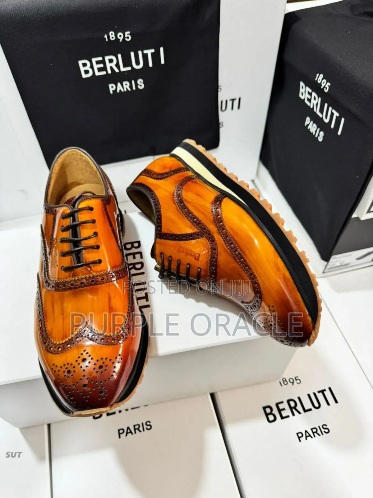 Berluti Luxury Leather Shoes