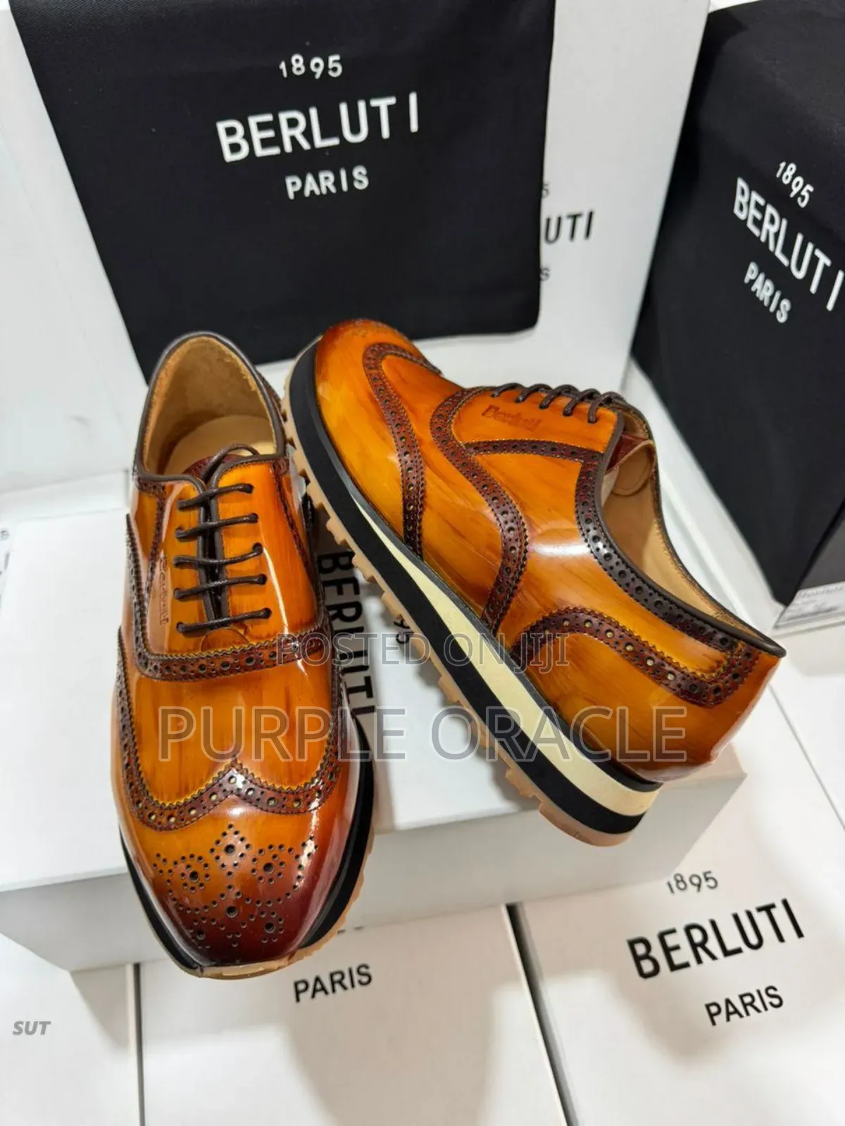Berluti Luxury Leather Shoes