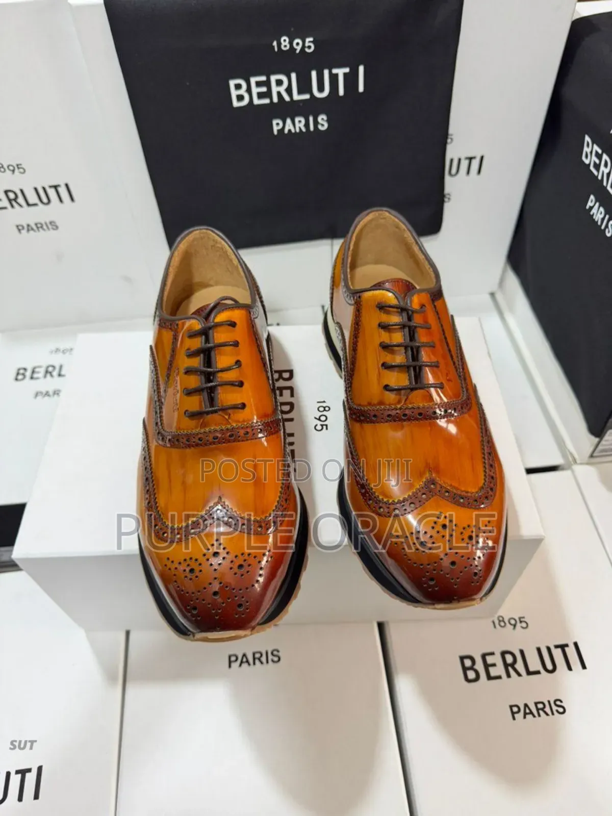 Berluti Luxury Leather Shoes