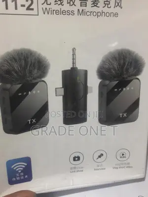 Wireless Microphone (F11-2)