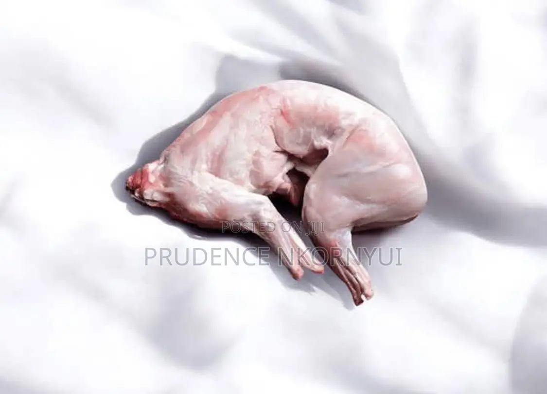Rabbit Meat