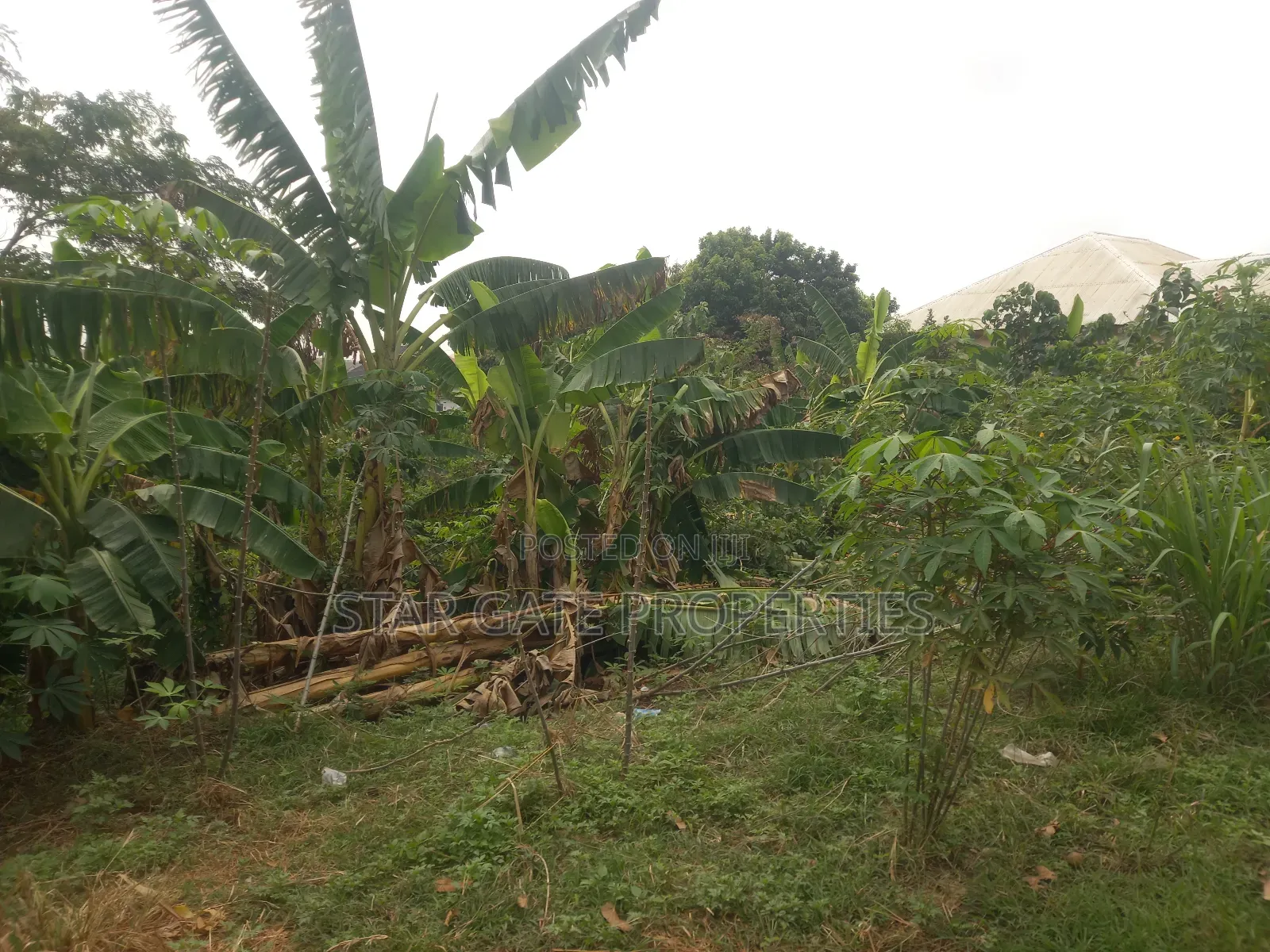 Plot for Sale at Pakyi No 2. ( Near the Main Highway)