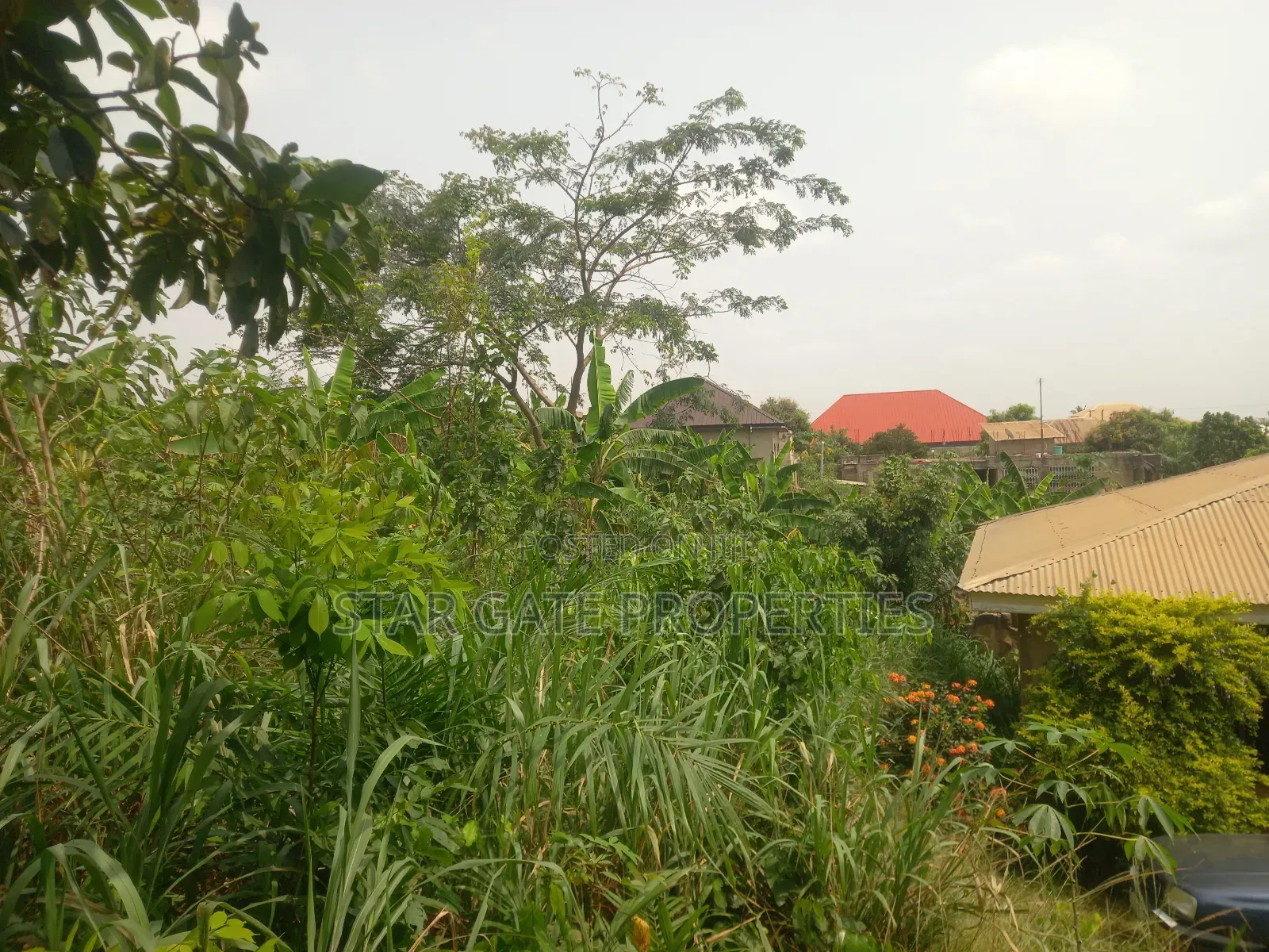 Plot for Sale at Pakyi No 2. ( Near the Main Highway)